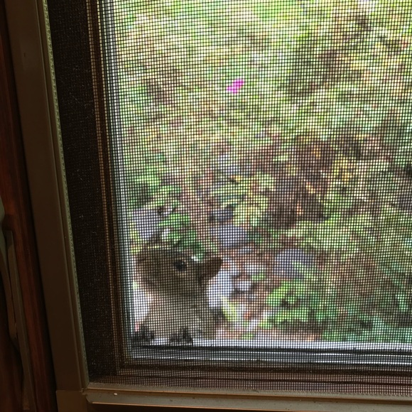 Meet Your Posher, Karri - Picture 6 of 17